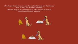 Estimulo condicionado: es cuando al ser ya familiarizado con el estimulo a
veces provoca una respuesta aprendida
Extinción: Después de un tiempo de no estar asociado al estimulo
condicionado pierde la respuesta
 