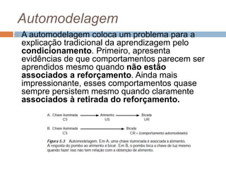 Automodelagem
 A automodelagem coloca um problema para a
explicação tradicional da aprendizagem pelo
condicionamento. Primeiro, apresenta
evidências de que comportamentos parecem ser
aprendidos mesmo quando não estão
associados a reforçamento. Ainda mais
impressionante, esses comportamentos quase
sempre persistem mesmo quando claramente
associados à retirada do reforçamento.
 
