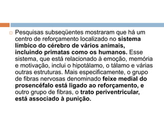  Pesquisas subseqüentes mostraram que há um
centro de reforçamento localizado no sistema
límbico do cérebro de vários animais,
incluindo primatas como os humanos. Esse
sistema, que está relacionado à emoção, memória
e motivação, inclui o hipotálamo, o tálamo e várias
outras estruturas. Mais especificamente, o grupo
de fibras nervosas denominado feixe medial do
prosencéfalo está ligado ao reforçamento, e
outro grupo de fibras, o trato periventricular,
está associado à punição.
 