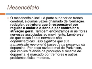 Mesencéfalo
 O mesencéfalo inclui a parte superior do tronco
cerebral, algumas vezes chamado de formação
reticular, estrutura que é responsável por
regular o andar e o sono e por controlar a
ativação geral. Também encontramos aí as fibras
nervosas associadas ao movimento. Lembre-se
de que essas fibras nervosas são
dopaminérgicas, isso significa que sua
transmissão neuronal é baseada na presença da
dopamina. Por essa razão o mal de Parkinson,
que implica falência da produção suficiente de
dopamina, é marcado por tremores e outros
problemas físico-motores.
 