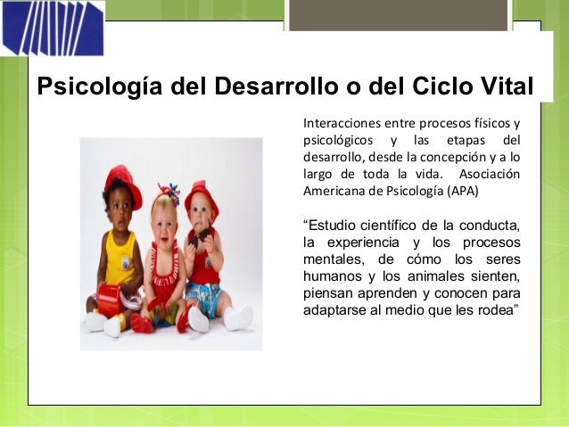 Psicologia evolutiva