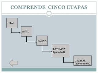 COMPRENDE CINCO ETAPAS
ORAL
ANAL

FÁLICA
LATENCIA
(pubertad)
GENITAL
(adolescencia)

 
