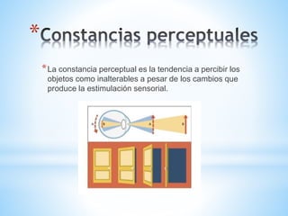 *
*La constancia perceptual es la tendencia a percibir los
objetos como inalterables a pesar de los cambios que
produce la estimulación sensorial.
 