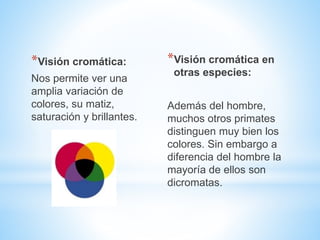 *Visión cromática:
Nos permite ver una
amplia variación de
colores, su matiz,
saturación y brillantes.
*Visión cromática en
otras especies:
Además del hombre,
muchos otros primates
distinguen muy bien los
colores. Sin embargo a
diferencia del hombre la
mayoría de ellos son
dicromatas.
 