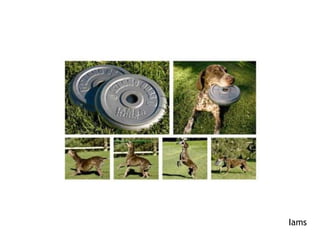 Dia do não fumante.