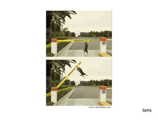 MeisterCamera“Veja em maiores detalhes.”