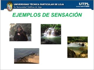 EJEMPLOS DE SENSACIÓN 