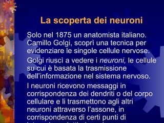La scoperta dei neuroni
Solo nel 1875 un anatomista italiano.
Camillo Golgi, scoprì una tecnica per
evidenziare le singole cellule nervose.
Golgi riuscì a vedere i neuroni, le cellule
su cui è basata la trasmissione
dell’informazione nel sistema nervoso.
I neuroni ricevono messaggi in
corrispondenza dei dendriti o del corpo
cellulare e li trasmettono agli altri
neuroni attraverso l’assone, in
corrispondenza di certi punti di

 