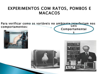 EXPERIMENTOS COM RATOS, POMBOS E
                MACACOS

Para verificar como as variáveis no ambiente interferiam nos
comportamentos:                             Leis
                                      Comportamentai
                                              s
 