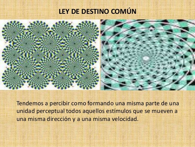 Psicologia de la gestalt