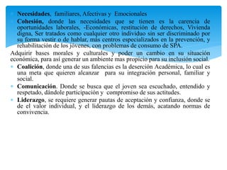  Necesidades, familiares, Afectivas y Emocionales
 Cohesión, donde las necesidades que se tienen es la carencia de
oportunidades laborales, -Económicas, restitución de derechos, Vivienda
digna, Ser tratados como cualquier otro individuo sin ser discriminado por
su forma vestir o de hablar, más centros especializados en la prevención, y
rehabilitación de los jóvenes, con problemas de consumo de SPA.
Adquirir bases morales y culturales y poder un cambio en su situación
económica, para así generar un ambiente mas propicio para su inclusión social.
 Coalición, donde una de sus falencias es la deserción Académica, lo cual es
una meta que quieren alcanzar para su integración personal, familiar y
social.
 Comunicación. Donde se busca que el joven sea escuchado, entendido y
respetado, dándole participación y compromiso de sus actitudes.
 Liderazgo, se requiere generar pautas de aceptación y confianza, donde se
de el valor individual, y el liderazgo de los demás, acatando normas de
convivencia.

 