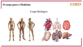 Corpo Biológico
O corpo para a Medicina
 