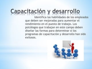 Identifica las habilidades de los empleados
que deben ser mejoradas para aumentar el
rendimiento en el puesto de trabajo. Los
psicólogos que trabajan en este campo deben
diseñar las formas para determinar si los
programas de capacitación y desarrollo han sido
exitosos.
 