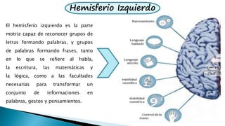 Hemisferio Izquierdo
El hemisferio izquierdo es la parte
motriz capaz de reconocer grupos de
letras formando palabras, y grupos
de palabras formando frases, tanto
en lo que se refiere al habla,
la escritura, las matemáticas y
la lógica, como a las facultades
necesarias para transformar un
conjunto de informaciones en
palabras, gestos y pensamientos.
 