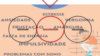 Psicoticismo
11
Neurotiscismo
Extroversão
 