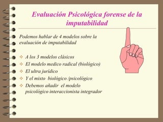 PERICIAL  Elaborado después del nombramiento y tiene como objetivo responder a las preguntas solicitadas judicialmente