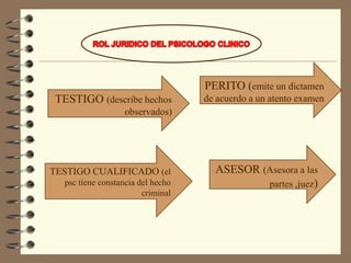 La normativa vigente en el seno de la organización profesional