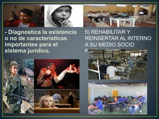 - Diagnostica la existencia
o no de características
importantes para el
sistema jurídico.
5) REHABILITAR Y
REINSERTAR AL INTERNO
A SU MEDIO SOCIO
FAMILIAR.
 