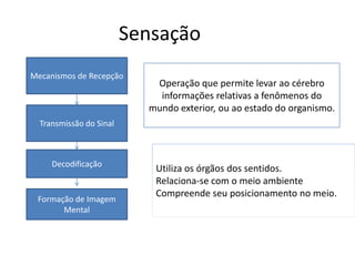 Sensação
Mecanismos de Recepção
Transmissão do Sinal
Decodificação
Formação de Imagem
Mental
Operação que permite levar ao cérebro
informações relativas a fenômenos do
mundo exterior, ou ao estado do organismo.
Utiliza os órgãos dos sentidos.
Relaciona-se com o meio ambiente
Compreende seu posicionamento no meio.
 