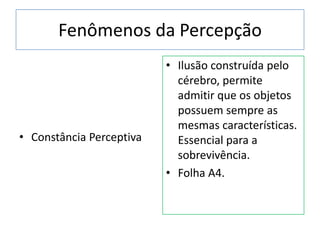 Fenômenos da Percepção
• Constância Perceptiva
• Ilusão construída pelo
cérebro, permite
admitir que os objetos
possuem sempre as
mesmas características.
Essencial para a
sobrevivência.
• Folha A4.
 