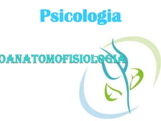Psicologia Neuroanatomofisiologia 