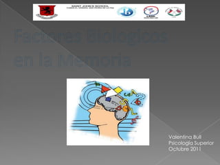 Valentina Bull
Psicología Superior
Octubre 2011
 