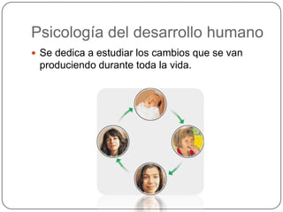 Del desarrollo humano
 Se dedica a estudiar los cambios que se van
 produciendo durante toda la vida.
 