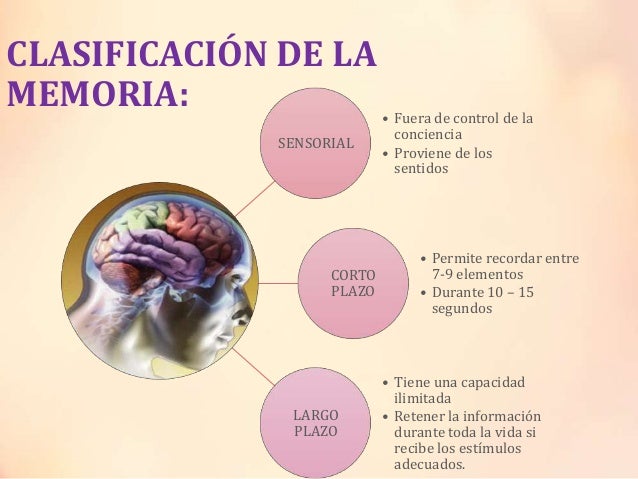 La memoria (Psicología)