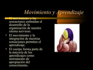 Movimiento y Aprendizaje  El movimiento y las sensaciones estimulan el desarrollo de la organización de nuestro sitema nervioso. El movimiento y la integración de nuestras sensaciones permiten el aprendizaje. El cuerpo forma parte de la mayoría de los aprendizajes como instrumento de apropiación del conocimiento. 