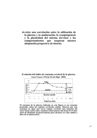 existe una correlación entre la utilización de
     la glucosa y la maduración, la synaptogénesis
     y la plasticidad del sistema nervioso y los
     comportamientos que aseguran nuestra
     adaptación progresiva al entorno.




  Evolución del índice de consumo cerebral de la glucosa
                                 (Según Chugani, 1998) (p.31) (en Rigal, 2003)

                        70
                        60
                                                    Niño
      Consommation en
       mmol/min/100g




                        50
                        40                                                           2 veces
                        30                           Adulto                              +
                        20                                                           -30%
                        10                          Recién nacido
                        0
                             0      2     4     6       8     10      12   14   16     Adulte

                                                    Edad(en années)
                                                      Age en años


El consumo de la glucosa indicado en esta figura es un consumo
promedio, todas las regiones cerebrales unidas. Muestra que este
consumo no sigue una curva regular creciente sino aumenta del
nacer hasta cuatro años, continua relativamente alto hasta 8 ó 9 años
antes de disminuir progresivamente para alcanzar su valor adulto a
fines de la adolescencia .




                                                                                                15
 