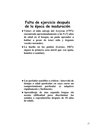 Falta de ejercicio después
de la época de maduración
Víctor: el niño salvaje del Aveyron (1797):
encontrado aproximadamente a los 9 (?) años
de edad en el bosque, no pudo aprender a
hablar a pesar de tener oído y órganos
vocales normales;
La huella en los patitos (Lorenz, 1967):
siguen la primera cosa móvil que ven (pato,
hombre o camión);




Los períodos sensibles o críticos : intervalo de
tiempo o edad particular en cuyo curso un
comportamiento particular se adquiere
rápidamente y fácilmente;
Aprendizaje de una segunda lengua sin
acento (dificultad para discriminar los
sonidos o reproducirlos después de 10 años
de edad).




                                                   23
 