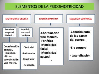 ELEMENTOS DE LA PSICOMOTRICIDAD

 MOTRICIDAD GRUESA             MOTRICIDAD FINA   ESQUEMA CORPORAL



Dominio        Dominio
corporal       corporal        -Coordinación     -Conocimiento
dinámico       estático                          de las partes
                               viso-manual.
                               -Fonética         del cuerpo.
Coordinación
                               -Motricidad
                 -Tonicidad                      -Eje corporal
general.                       facial
-Equilibrio    -Autocontrol    -Motricidad
-Ritmo                         gestual           - Lateralización.
coordinación    -Respiración
                                        -
viso motriz.
                -Relajación
 