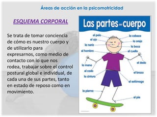 Áreas de acción en la psicomotricidad


  ESQUEMA CORPORAL

Se trata de tomar conciencia
de cómo es nuestro cuerpo y
de utilizarlo para
expresarnos, como medio de
contacto con lo que nos
rodea, trabajar sobre el control
postural global e individual, de
cada una de sus partes, tanto
en estado de reposo como en
movimiento.
 