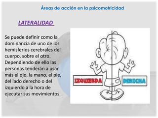 Áreas de acción en la psicomotricidad


      LATERALIDAD

Se puede definir como la
dominancia de uno de los
hemisferios cerebrales del
cuerpo, sobre el otro.
Dependiendo de ello las
personas tenderán a usar
más el ojo, la mano, el pie,
del lado derecho o del
izquierdo a la hora de
ejecutar sus movimientos.
 