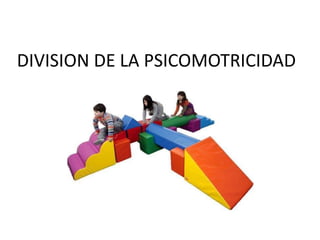 DIVISION DE LA PSICOMOTRICIDAD
 