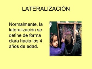 LATERALIZACIÓN Normalmente, la lateralización se define de forma clara hacia los 4 años de edad. 