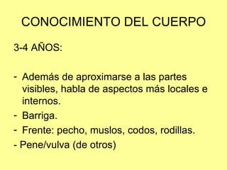CONOCIMIENTO DEL CUERPO 3-4 AÑOS: Además de aproximarse a las partes visibles, habla de aspectos más locales e internos. Barriga. Frente: pecho, muslos, codos, rodillas. - Pene/vulva (de otros) 