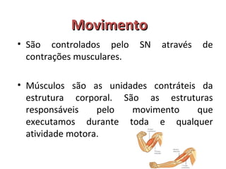 MMoovviimmeennttoo 
• São controlados pelo SN através de 
contrações musculares. 
• Músculos são as unidades contráteis da 
estrutura corporal. São as estruturas 
responsáveis pelo movimento que 
executamos durante toda e qualquer 
atividade motora. 
 