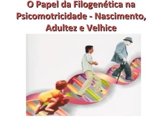 OO PPaappeell ddaa FFiillooggeennééttiiccaa nnaa 
PPssiiccoommoottrriicciiddaaddee -- NNaasscciimmeennttoo,, 
AAdduulltteezz ee VVeellhhiiccee 
 