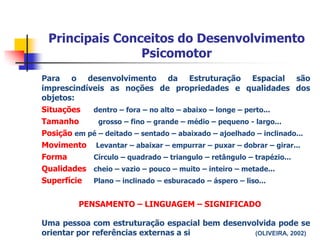 Principais Conceitos do Desenvolvimento PsicomotorEsquema e Totalidade Corporal:        “O Afeto é o Alfa e o Omega do Psiquismo” Vigotski (1989)Consciência dos Sentidos:TatoOlfatoPaladarVisãoAudiçãoConsciência dos Sentimentos: FelicidadeTristeza 	AmorAgitaçãoDepressãoRaiva	A liberdade e a consciência de siprópriopassanecessariamentepeloautoconhecimento.	O conhecimento e a consciênciainexistemfora de um sistema de significação das experiênciassensórias. 	A consciênciadependedamediação dos significadossociohistóricamenteconstruídos . (Pensamento e Linguagem)