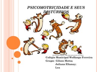 PSICOMOTRICIDADE E SEUS
DISTÚRBIOS
Colégio Municipal Wolfango Ferreira
Grupo: Gilson Motta;
Juliana Elianay;
Lea
 