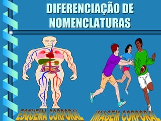 DIFERENCIAÇÃO DE
NOMENCLATURAS
 