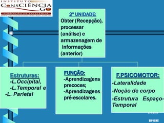 2ª UNIDADE:
                  Obter (Recepção),
                  processar
                  (análise) e
                  armazenagem de
                   informações
                  (anterior)



  Estruturas:      FUNÇÃO:              F.PSICOMOTOR:
  -L.Occipital,    -Aprendizagens
                   precoces;          -Lateralidade
  -L.Temporal e
                   -Aprendizagens     -Noção de corpo
-L. Parietal
                   pré-escolares.     -Estrutura Espaço-
                                      Temporal
                                                  2/6/2010


                                                  DIP-ICHC
 