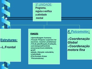 3ª UNIDADE:
                    Programa,
                    regula e verifica
                    a atividade
                     mental



                                                F. Psicomotor:
              FUNÇÃO:

              Aprendizagem humana;
Estruturas:   Função Psiquica superior( ler    Coordenação
              escrever, resolver problemas)
              F.E.de planificação,Avaliação,
                                                Global
              cont.temporalControle             Coordenação
L.Frontal    emocional,Cont.inibitório,
              gratif.                           motora fina.
              adiada, Atenção voluntária,
              criatividade
              (Pré-frontais:Areas
               Psicomotoras).
 