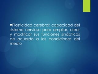 ♥Plasticidad cerebral: capacidad del
sistema nervioso para ampliar, crear
y modificar sus funciones sinápticas
de acuerdo a las condiciones del
medio

 