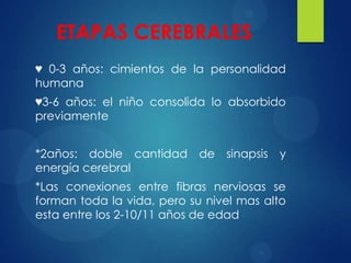 ETAPAS CEREBRALES
♥ 0-3 años: cimientos de la personalidad
humana
♥3-6 años: el niño consolida lo absorbido
previamente
*2años: doble cantidad de
energía cerebral

sinapsis

y

*Las conexiones entre fibras nerviosas se
forman toda la vida, pero su nivel mas alto
esta entre los 2-10/11 años de edad

 