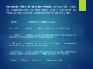 Desarrollo Físico en el área motora: comprende todas
las capacidades del niño para usar y controlar los
músculos del cuerpo (desarrollo motor grueso y fino).
EDAD
0-5 meses

CONDUCTAS OBSERVABLES
Se lleva un objeto a la boca. Toca un objeto.

6-11 meses
Gatea. Coge un caramelo con varios dedos en
oposición al pulgar (prensión digital-parcial).
12 -17 meses Sube escaleras con ayuda. Coge un caramelo los
dedos índice y pulgar (pinza superior).
18-23 meses
Sube y baja las escaleras sin ayuda, colocando
ambos pies en cada escalón. Mete anillas en un soporte.
2 años

Salta con pies juntos.

Abre una puerta.

 