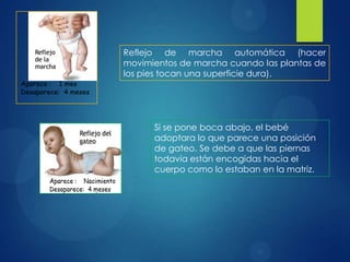 Reflejo de marcha automática (hacer
movimientos de marcha cuando las plantas de
los pies tocan una superficie dura).

Si se pone boca abajo, el bebé
adoptara lo que parece una posición
de gateo. Se debe a que las piernas
todavía están encogidas hacia el
cuerpo como lo estaban en la matriz.

 