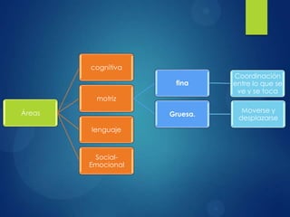 cognitiva
fina

Coordinación
entre lo que se
ve y se toca

Gruesa.

Moverse y
desplazarse

motriz
Áreas
lenguaje

SocialEmocional

 
