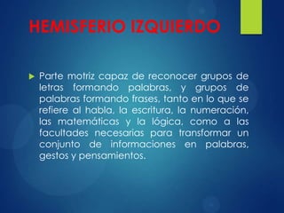 HEMISFERIO IZQUIERDO


Parte motriz capaz de reconocer grupos de
letras formando palabras, y grupos de
palabras formando frases, tanto en lo que se
refiere al habla, la escritura, la numeración,
las matemáticas y la lógica, como a las
facultades necesarias para transformar un
conjunto de informaciones en palabras,
gestos y pensamientos.

 
